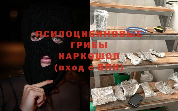 дмт Надым