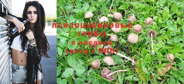 дмт Надым