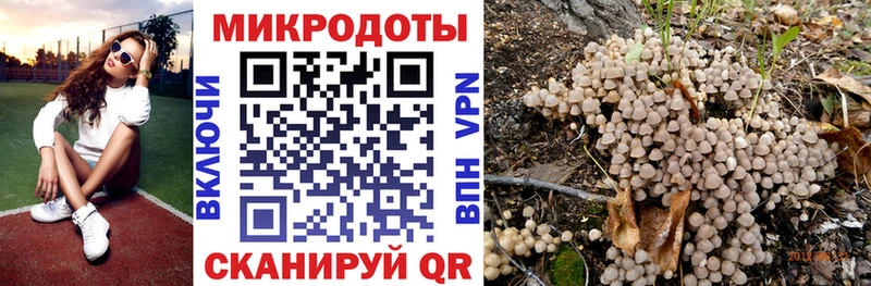 Псилоцибиновые грибы прущие грибы  Купить  Дятьково 